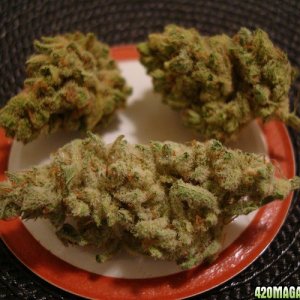 High Quality Medical Marijuana available for cheaper prices