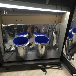 Grow Setup