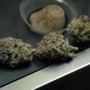 Grandaddy Purple/ Purple Platinum Hash