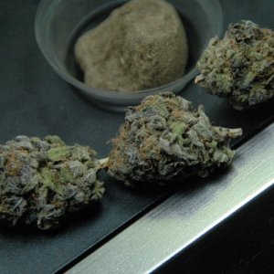 Grandaddy Purple/ Purple Platinum Hash