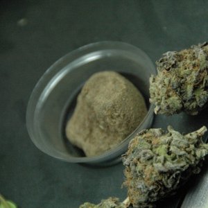 Grandaddy Purple/ Purple Platinum Hash