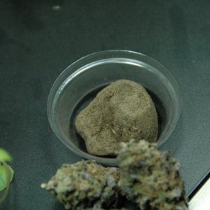 Grandaddy Purple/ Purple Platinum Hash