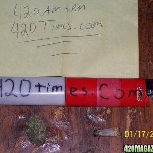 420TIMES.COM