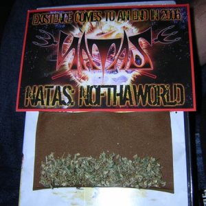 NofthaWorld Blunt