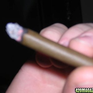 NofthaWorld Blunt