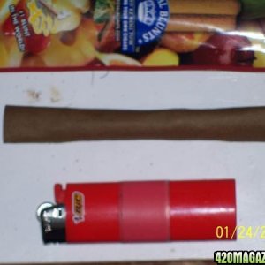 Blunt ...