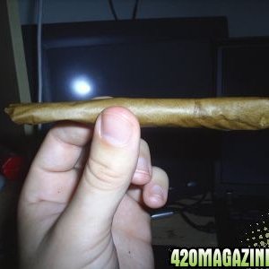 blunt contest