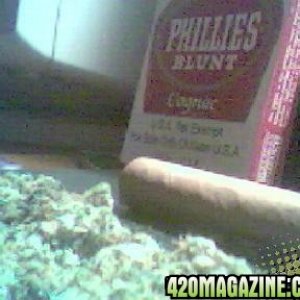 Phillie Blunt