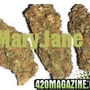 Mary.Jane