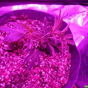 lst for the first time