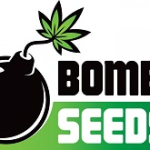 bomb seeds logo