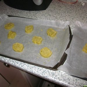 cookie_disaster_008