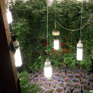 Indoor grow room