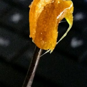 dabs3