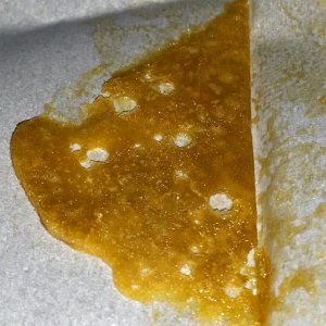 orangewax