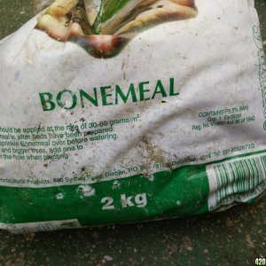 Bone Meal