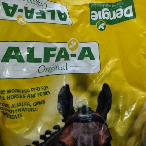 Alfalfa