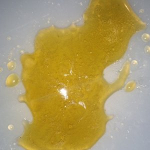 Bubba Kush Live Resin Shatter