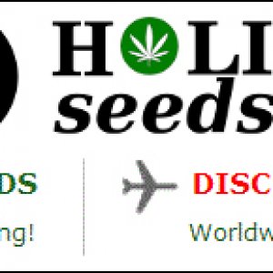 Holi Seeds