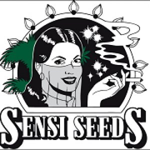 Sensi Seeds