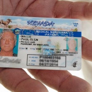 nevada license (fb)