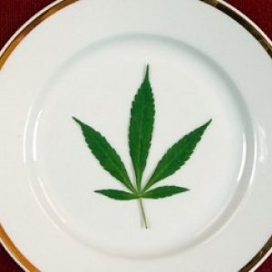 marijuana plate(fb)