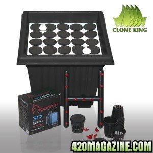 clone_king_25