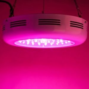 Greenstar LED Grow Lights