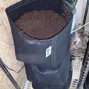 stacked 7-gal pots of soil