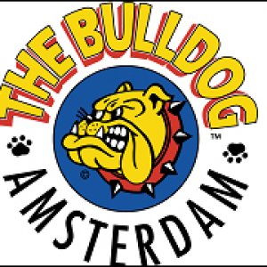 Bulldog Logo