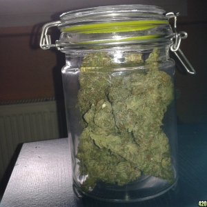 OHS_in_jar