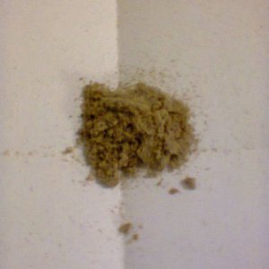 Auto BlackBerry Kush hash from trim