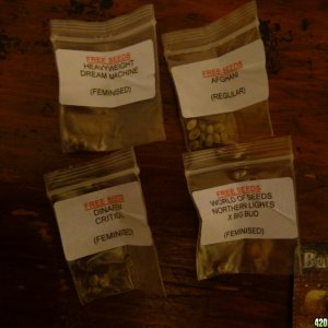 Herbies Seed order