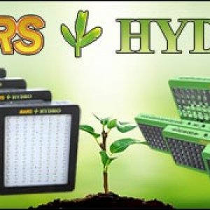 Mars Hydro