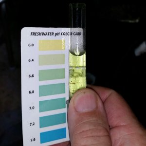 Lime Juice PH not stable over 48 hrs