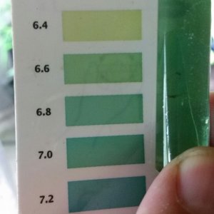 Lime Juice PH not stable over 48 hrs