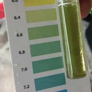 Ph down - 48 hrs test