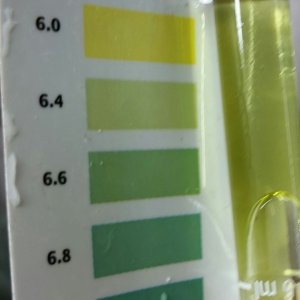 Ph down - 48 hrs test