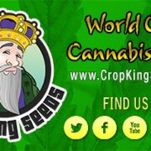 Crop King Seeds