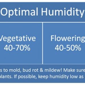 humidity-chart