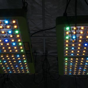 Mars-Hydro LED Colours