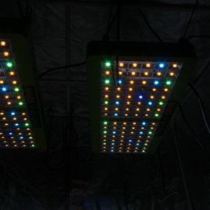 Mars-Hydro LED Colours