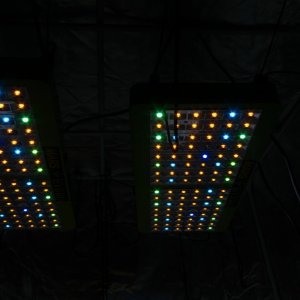 Mars-Hydro LED Colours