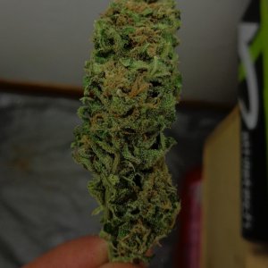 super blue alien cookie