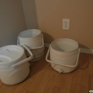 cogreen grow setup - 2 gal reservoirs