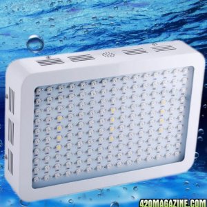 Ebay LED lights