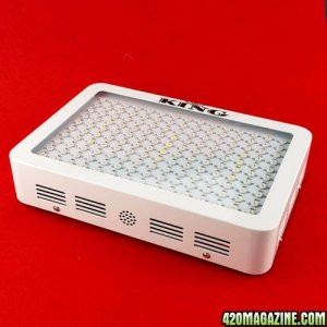 Ebay LED lights