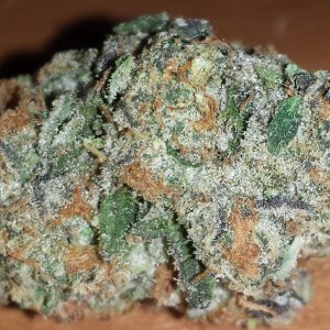 Girl Scout Cookies