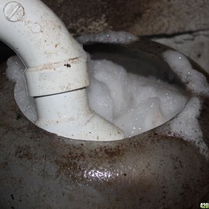 Soap Nut Foam Test