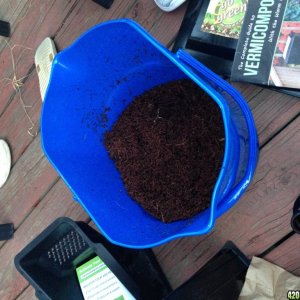 Worm Bin Setup